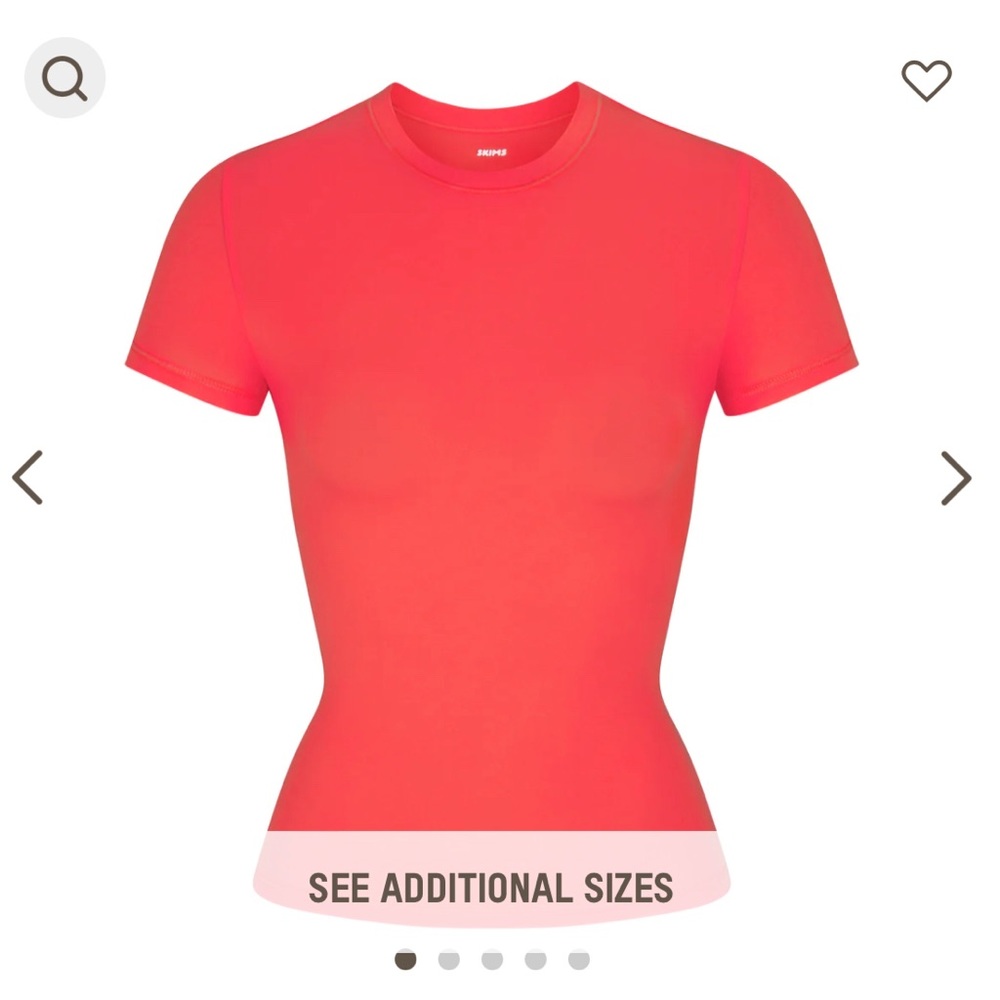 Skims Fits Everybody T shirt